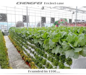 Indoor Automated Vertical Dwc Nft Hydroponic Supplies Growing Systems