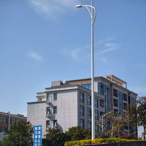 Üreticilerin Çift Kollu Alüminyum Sokak Aydınlatma Direği Yol Dış Mekan Lamba Direkleri 10FT 15FT 20FT 25FT 30FT 35FT 40FT - Product Image 1