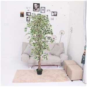 Arbre artificiel pour l'extérieur Simulation de rose pour mariage Maison en vrac Eco Friendly Oem/Odm Bas <span class=keywords><strong>prix</strong></span> Olive Big Fake Flower - Product Image 5