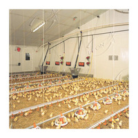 Bâtiment d'élevage de poulets de chair à prix abordable en Chine
