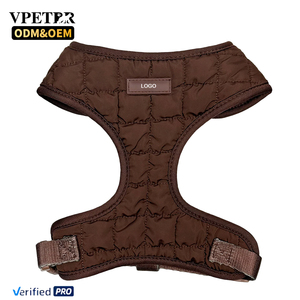 Personalisiertes, verstellbares Luxus-Hundegeschirr-Set aus Neopren mit Leine – umweltfreundlich für den Außenbereich - Product Image 1