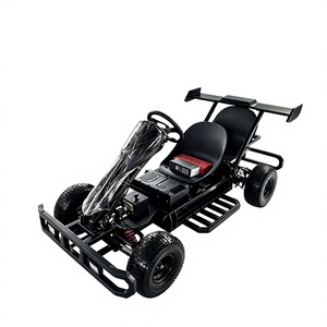 Eje de Transmisión de 750W para Adultos, 48V 20Ah, Uso en Exteriores - Product Image 1