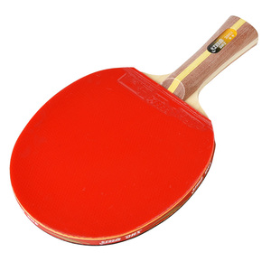Raquettes <span class=keywords><strong>de</strong></span> tennis <span class=keywords><strong>de</strong></span> table DHS 2 étoiles, poignée horizontale, raquettes <span class=keywords><strong>de</strong></span> <span class=keywords><strong>ping</strong></span>-<span class=keywords><strong>pong</strong></span> pour les enfants, les étudiants et les compétitions - Product Image 5
