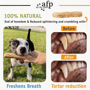 AFP Yeni Gelen Antibakteriyel Köpek Litchi Ağacı Çiğneme Oyuncağı Çevre Dostu Evcil Hayvan Köpek Çiğneme Çubuğu Oyuncağı Diş Sağlığı İçin Plak Azaltıcı - Product Image 6