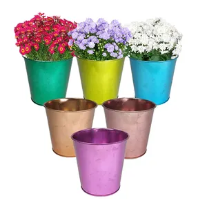 Pacote de 6 vasos de flores, potes de páscoa pequenos de metal, balde de presente de estanho doce