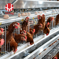 Cage à poules pondeuses de type A à grande capacité, 3 niveaux, galvanisée, avec collecte automatique des œufs, équipement avicole