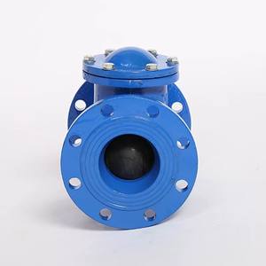 วาล์วตรวจสอบก๊าซดีเซลสำหรับหลุมล่างวาล์วตรวจสอบป๊อปเปตแบบปรับได้ DN50ข้อศอกโอโซน M10 14การตรวจสอบทางเคมี - Product Image 1