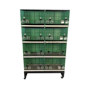 <span class=keywords><strong>Cage</strong></span> d'élevage pour perroquets en fer avec cloisons, <span class=keywords><strong>4</strong></span> niveaux, plateau en plastique, emballage en boîte - Product Image 1