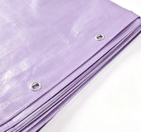 Bâche en plastique enduite de LDPE résistante, imperméable, couleur violet clair