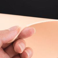 Peau Artificielle en Silicone Souple Double Face de Haute Qualité pour la Pratique du Maquillage Permanent et des Tatouages – Vente en Gros