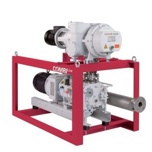 Estación de Bombeo CombiLine Wh 1800P con Bomba de Vacío de Roots Accionada Eléctricamente y Cuerpo de Hierro Fundido - Product Image 1
