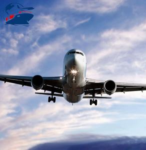 Transitario bilingüe para 1688 Ddp Envío a India con agente de compras <span class=keywords><strong>español</strong></span> y cumplimiento fiscal - Product Image 3