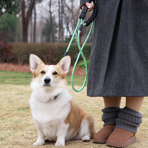 Kerah pelacakan pelatihan hewan peliharaan mewah tugas berat tali anjing nilon reflektif dapat disesuaikan untuk anjing ukuran sedang besar bahan paduan kuat - Product Image 2