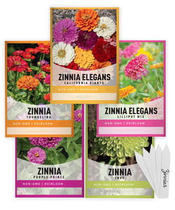 Paquete de Variedades de Zinnia, 5 Macetas de Vidrio Ecológicas para Uso en Interiores/Exteriores, Incluye Thumbelina, Lilliput y Purple Prince - Product Image 1