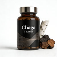 Extrait de champignon Chaga en poudre de qualité alimentaire, fourni par l'usine