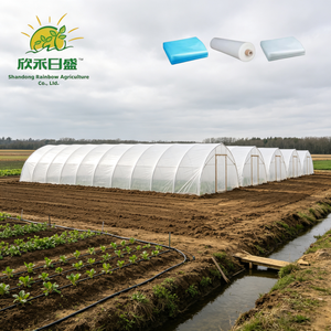 <span class=keywords><strong>Film</strong></span> plastique agricole pour serre, personnalisé en usine, à dégivrage rapide, pour l'agriculture - Product Image 1