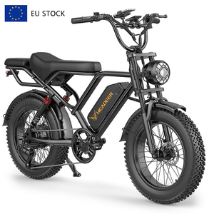 Bicicleta Eléctrica Fatbike de Aleación con Neumáticos de Aire de 20 Pulgadas, Batería de 48V 20Ah, 250W 750W, Estilo Vintage, Disponible en Almacén de la UE - Product Image 1