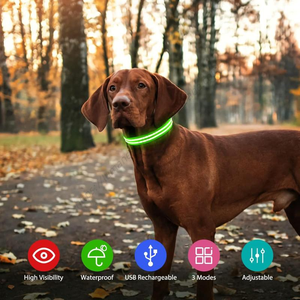 Collier LED pour chien en gros, rechargeable par USB, lumineux pour la sécurité nocturne, pour petits, moyens et grands chiens - Product Image 5