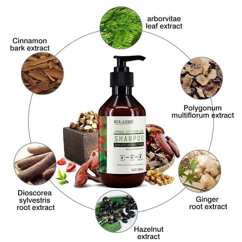 Organic Ginger Oil Hair Growth Shampoo For Woman Man Anti Hair Loss Treatment Private Label Wholesale