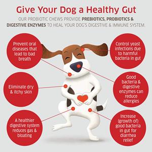 Grosir Probiotik untuk Anjing + Kunyah Alergi Anjing Prebiotik Meningkatkan Pencernaan Enzim Pencernaan Anjing Probiotik Kunyah OEM - Product Image 5
