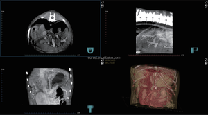 Appareil de <span class=keywords><strong>radiographie</strong></span> vétérinaire EUR VET, scanner CT vétérinaire, équipement hospitalier statique et dynamique DR, diagnostic vétérinaire CBCT - Product Image 6