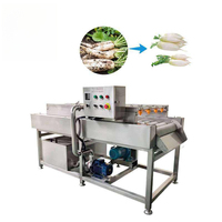 Machine de nettoyage automatique à rouleaux parallèles avec pulvérisation haute pression, idéale pour les lignes de transformation des tomates, légumes et fruits