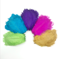 Offre Spéciale Plumes d'autruche artificielles blanches 55-60 cm, longues et naturelles, pour fêtes et mariages, vente en gros à prix abordable