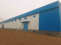 Structure en acier préfabriquée pour bâtiment agricole, entrepôt agricole, stockage de céréales