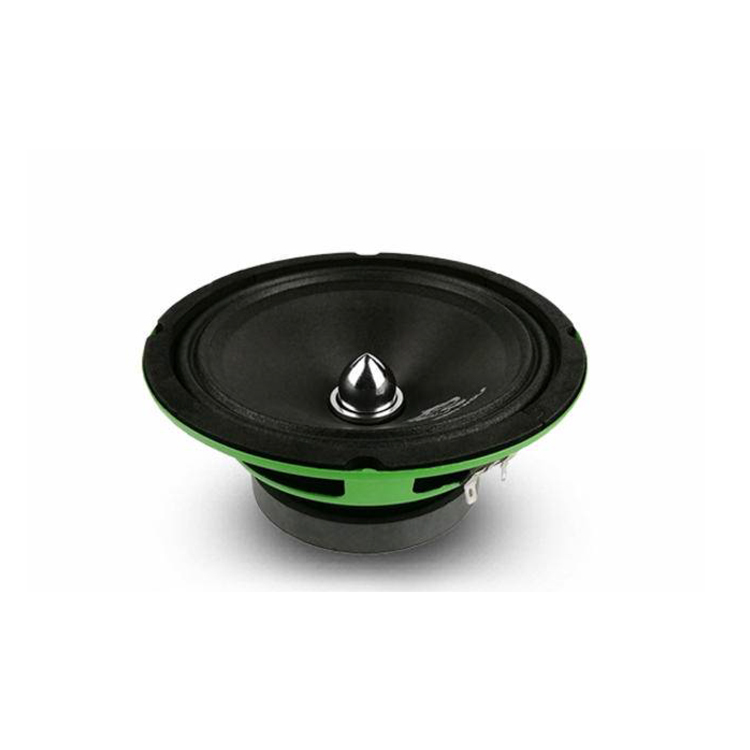 Professional Manufacturing Audio Woofer Can Be