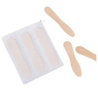 Cuillère à crème glacée jetable emballée individuellement Couverts Cuillères en plastique biodégradables en bois