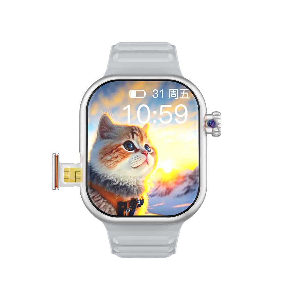 Gris (para la versión Euro Asia África)