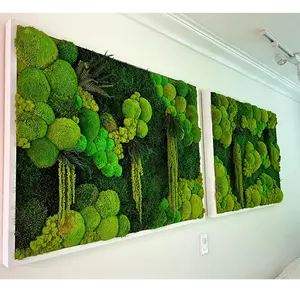 Rêu trang trí bất tự nhiên rêu tường nghệ thuật khung tự nhiên rêu tường nghệ thuật khung cho văn phòng nhà trang trí nội thất - Product Image 1