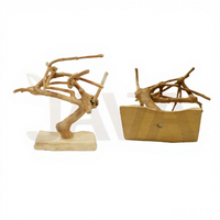 Perchoir pour oiseaux Javawood écologique et durable JM3 CWBase S en bois de café, fournitures d'Indonésie