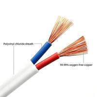 300/500V RVVB Flaches Flexibles Stromkabel 1,5/2,5/4mm² Mehradriges Reinkupfer PVC-Isoliertes Kabel für Haushalt und Gebäudeverkabelung