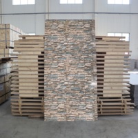 Panneau mural en mousse PVC durable et résistant aux rayures, finition imitation roche écologique, pour projets intérieurs et extérieurs