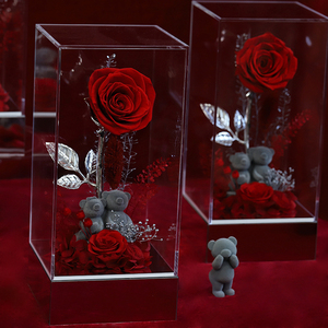 Vendita all'Ingrosso <span class=keywords><strong>di</strong></span> <span class=keywords><strong>Rose</strong></span> Eterne Preservate con Orsacchiotto e Coniglietto, Regalo Fatto a Mano in Cupola <span class=keywords><strong>di</strong></span> Vetro Acrilico <span class=keywords><strong>per</strong></span> San Valentino - Product Image 4