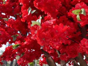 Kersenboom Indoor Outdoor Kersenboom Hoge Simulatie Kunstmatige Kersenbloesemboom Voor Bruiloft Decor En Landschapsarchitectuur - Product Image 4