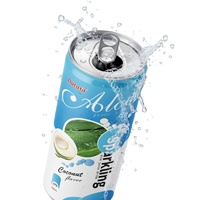 Sprankelende kokosnoot smaak blikjes groothandel koolzuurhoudende dranken frisdrank drank OEM/ODM