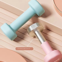 Juego de Mancuernas de Neopreno con Logotipo Personalizado, Diseño Hexagonal, Pesas de Hierro Fundido con Diversas Opciones de Color, Pesas de Pilates Grises