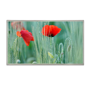Panel LCD TFT IPS de 32 Pulgadas 1080P, 1920*1080 HD, Interfaz LVDS, 1000 Nits - Product Image 5
