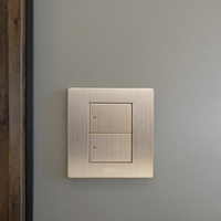 Interrupteur mural MGA Factory Silver High Standards Ultra Flat 2 Gang 2 voies avec indicateur LED et logo personnalisé