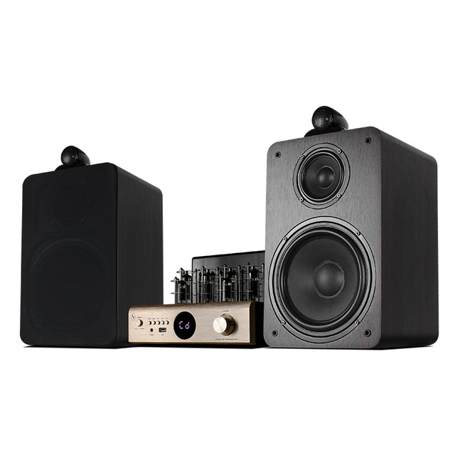 Amplifier Power Sound System Professional 2ch 100Watt Power Amplifier AV-2080 Tube Amp Amplifier