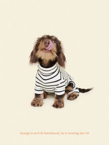 2026 İlkbahar Yeni <span class=keywords><strong>Dachshund</strong></span> Kıyafetleri Toptan Özel Tasarım Pamuklu Kazak Küçük Orta Büyük Köpekler İçin Lüks Moda Evcil Hayvan Giysisi - Product Image 3