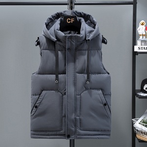 Iggift rompi <span class=keywords><strong>Puffer</strong></span> tahan air musim dingin 2025 untuk pria uniseks ritsleting poliester/cangkang nilon diisi pakaian luar kasual Logo depan kustom - Product Image 3