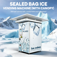 Système de fabrication, emballage et vente automatique de glace 24h/24 et 7j/7, kiosque à glace en sachets sans personnel, distributeur de glace extérieur avec auvent