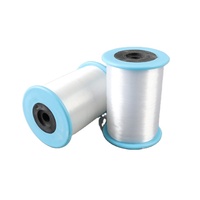 Fil de nylon haute ténacité non extensible de 0,12 mm pour le crochet, la fabrication de bijoux, le bricolage, 100% monofilament de nylon