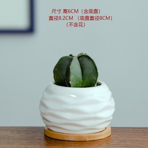 Maceta para flores suculentas, maceta creativa de cerámica, maceta pequeña de porcelana blanca suculenta, maceta para plantas (<span class=keywords><strong>planta</strong></span> no incluida) - Product Image 2