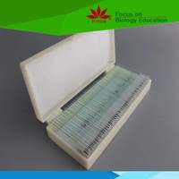 Ourself factory individual Skeletal Muscle l.s and c.s prepared microscope slide