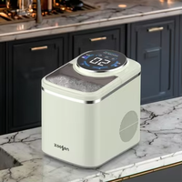 Machine de fabrication de glaçons en plastique de haute qualité la plus populaire nouvelle cuisine intelligente dessus de table électrique 220V instantanée Mini balle