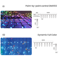 IP68 LED-Lichterkette DC12V/24V/36V RGB RGBW DMX512 Punktsteuerung Weihnachten Außenbereich Sternen-Dekor Feenlichter